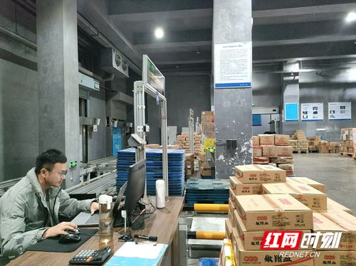 湖南冷链物流集团 以五大板块筑牢仓储服务根基，力保消费大省民生供应